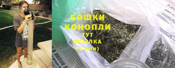 ALPHA PVP Няндома