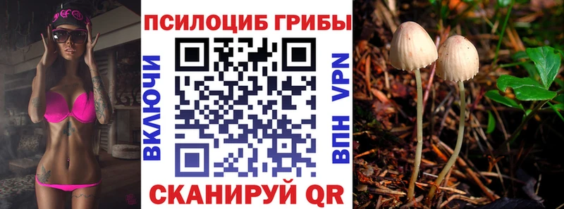 Галлюциногенные грибы ЛСД Боровичи
