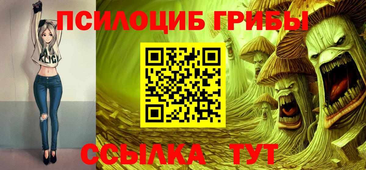 Боровичи  Галлюциногенные грибы ЛСД  Галлюциногенные грибы мицелий  Вход с VPN 