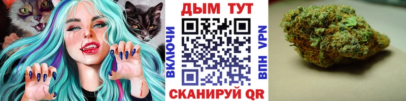 Конопля план  как найти закладки  Боровичи 