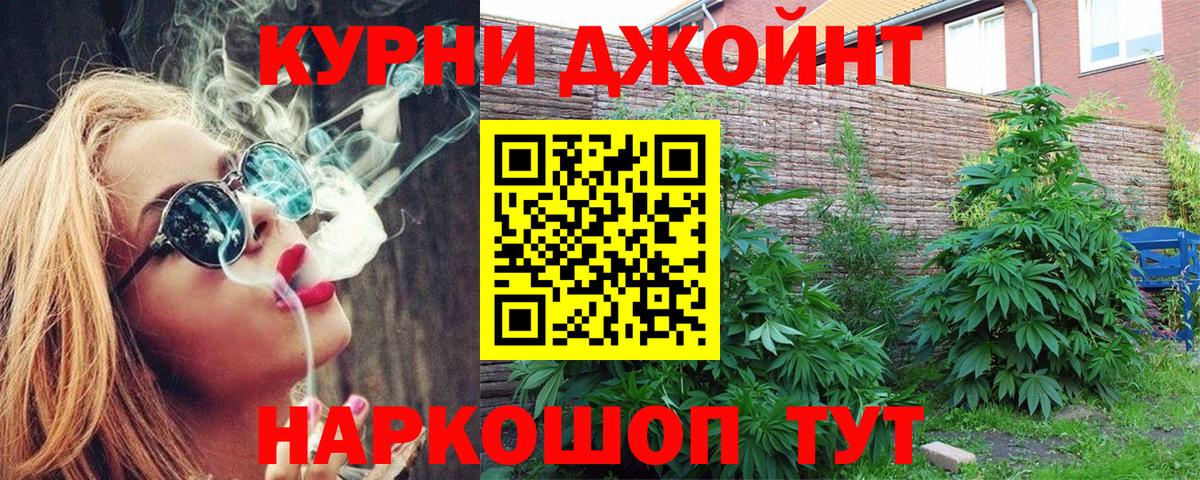 Шишки марихуана AK-47 Боровичи